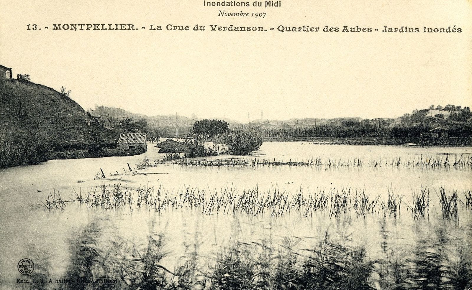 La Crue du Verdanson Quartier des Aubes- Jardins inondés
