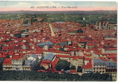 Vue Générale