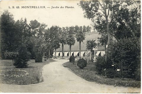 Jardin des Plantes