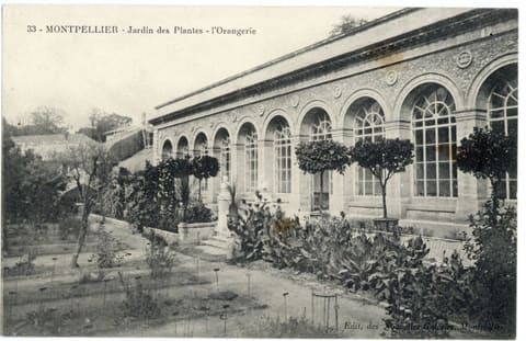 Jardin des Plantes l'Orangerie