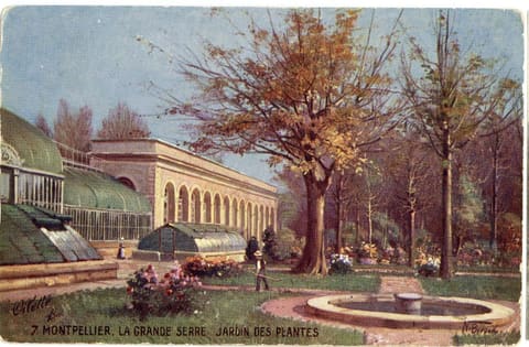 La Grande Serre Jardin des Plantes