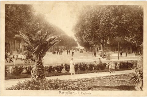 L'Esplanade