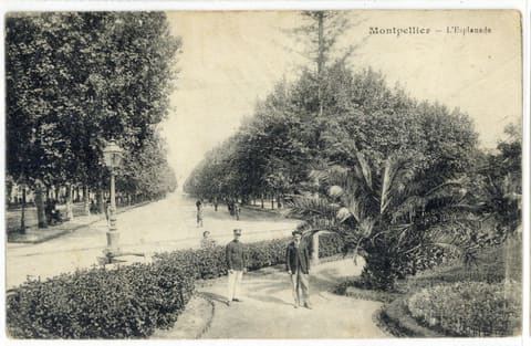L'Esplanade