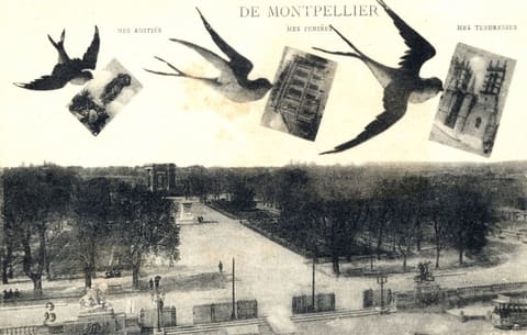 Mes Amitiés Mes Pensées Mes tendresses de Montpellier