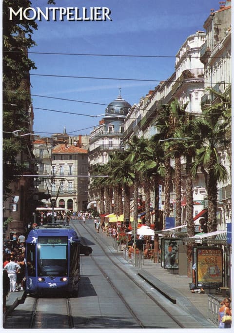 Hérault, "Le Tramway de l'agglomération de Montpellier"