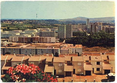 La Ville Satellite, La Z.U.P. de la Paillade