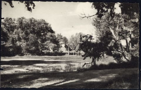 Préventorium de Grammont, L'allée du parc conduisant au lac