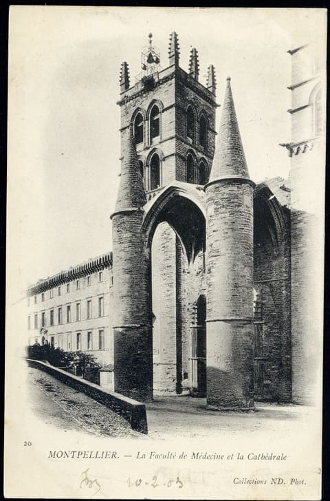 La Faculté de Médecine et la Cathédrale