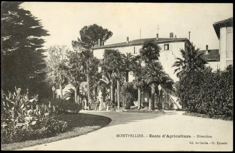 Ecole d'Agriculture, Direction (19012)