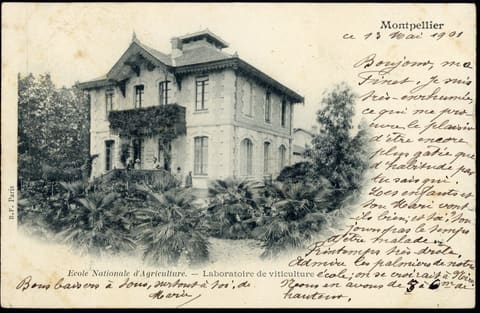Ecole Nationale de l'Agriculture, Laboratoire de viticulture
