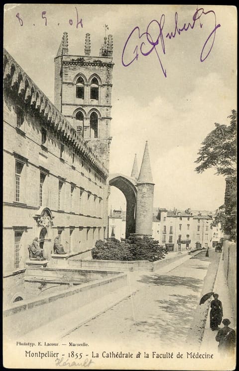 1855, La Cathédrale et la Faculté de Médecine