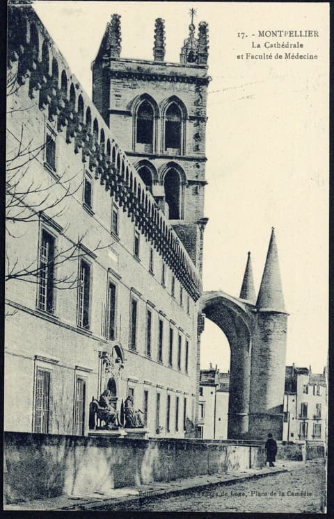 La Cathédrale Saint-Pierre et Faculté de Médecine