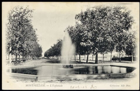L'Esplanade