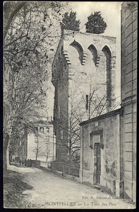 La Tour des Pins