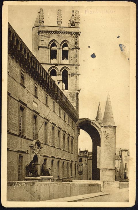 Hérault, La Faculté de Médecine et la Cathédrale Saint-Pierre