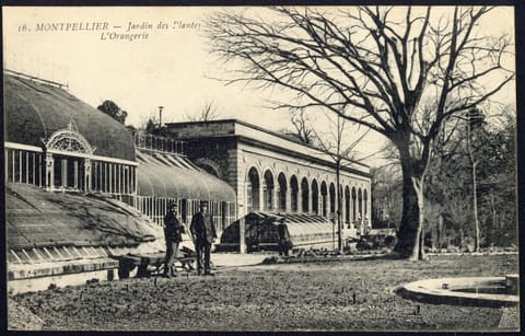 Jardin des Plantes, L'Orangerie