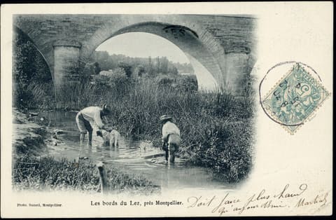 Les bords du Lez, près de Montpellier