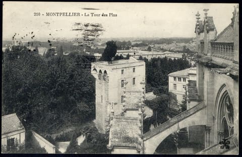 La Tour des Pins