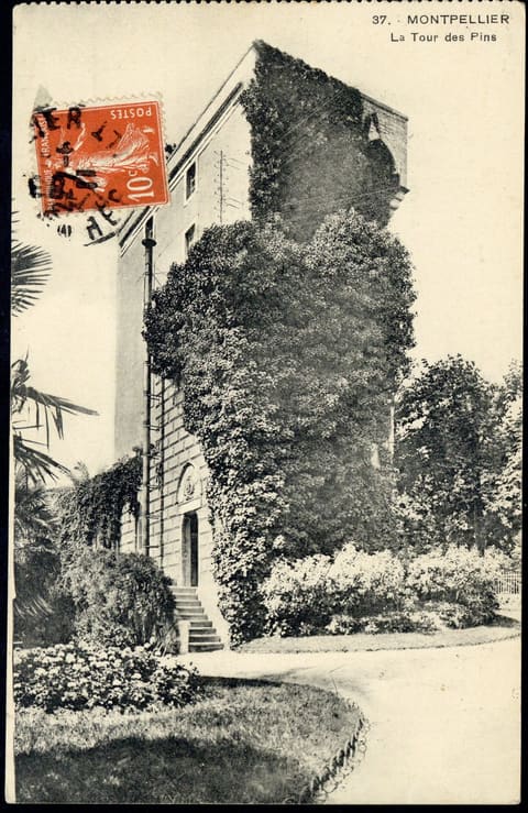 La Tour des Pins