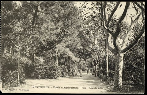 Parc de l'Ecole d'Agriculture