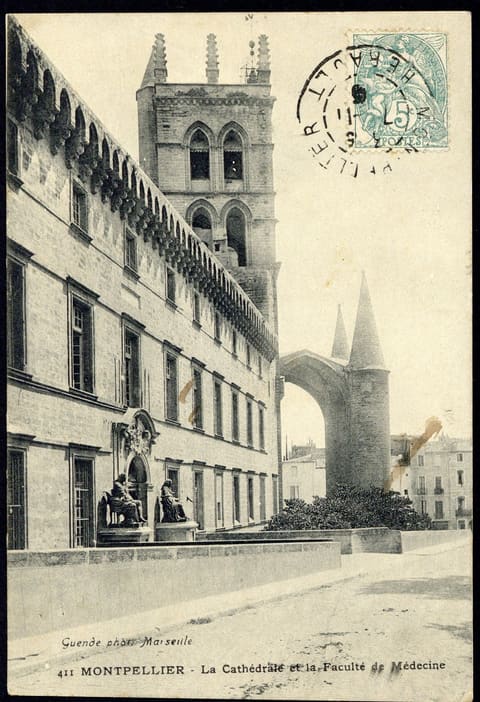 La Cathédrale Saint-Pierre et la Faculté de Médecine