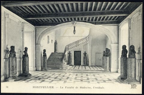 La Faculté de Médecine, Vestibule