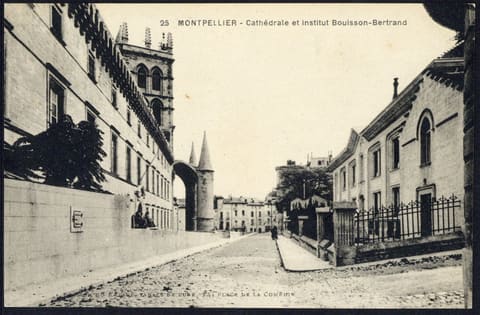 Cathédrale et Institut Bouisson-Bertrand