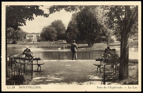 Parc de l'Esplanade, Le Lac