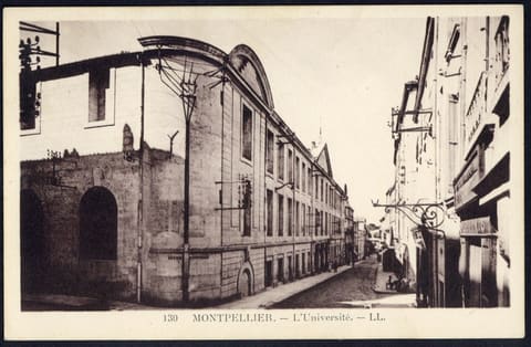 L'Université