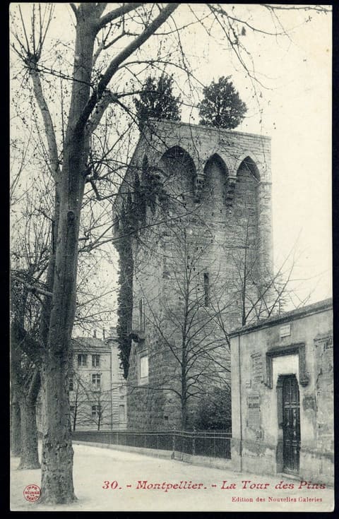 Tour des Pins