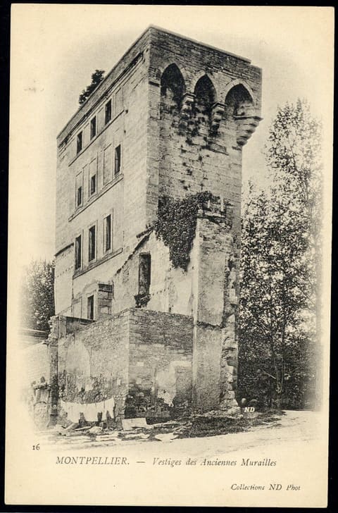 Vestiges des Anciennes Murailles [La Tour des Pins]