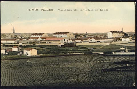 Quartier Lepic