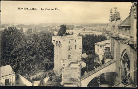 La Tour des Pins