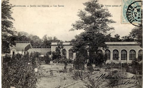 Jardin des Plantes Les Serres