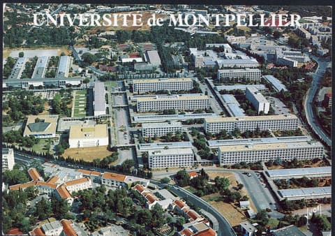 Université de Montpellier, Faculté des Sciences et Techniques