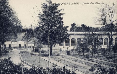 Jardin des Plantes