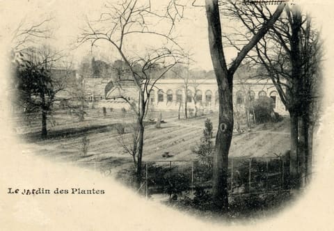 Le Jardin des Plantes