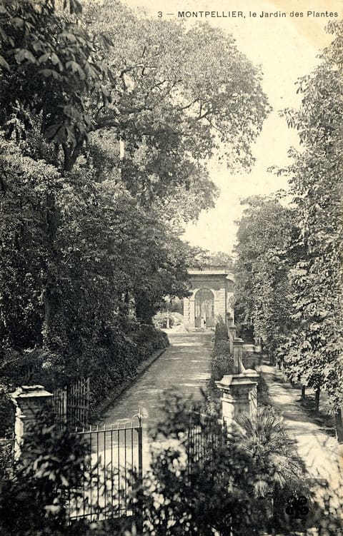 Le Jardin des Plantes