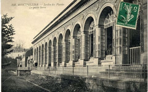 Jardin des Plantes La petite Serre