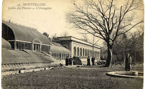 Jardin des Plantes L'Orangerie