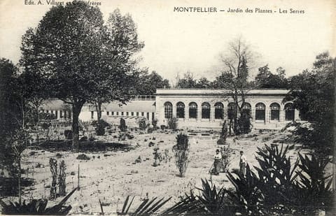 Jardin des Plantes Les Serres