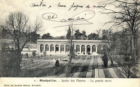 Jardin des Plantes La grande serre