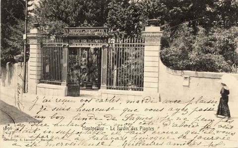 Le Jardin des Plantes 1896