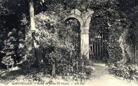 Ruines du Jardin des Plantes