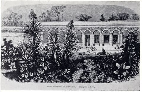 Jardin des Plantes de Montpellier Orangerie et Serre