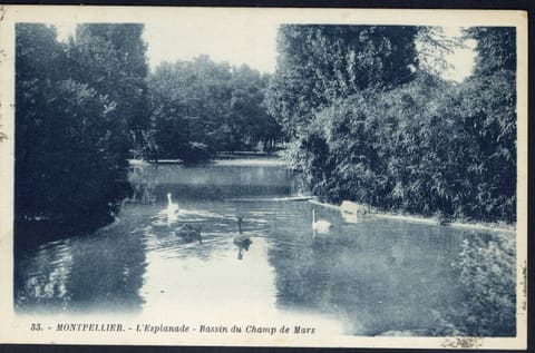 L'Esplanade, Bassin du Champ de Mars