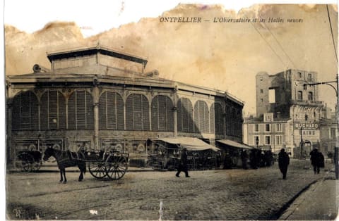 L'Observatoire et les Halles neuves