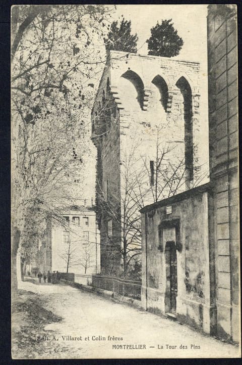 La Tour des Pins