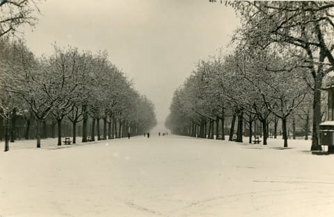 Promenade de l'Esplanade