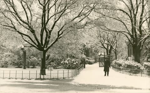 28 février 1932, Le jardin de l'Esplanade sous la neige